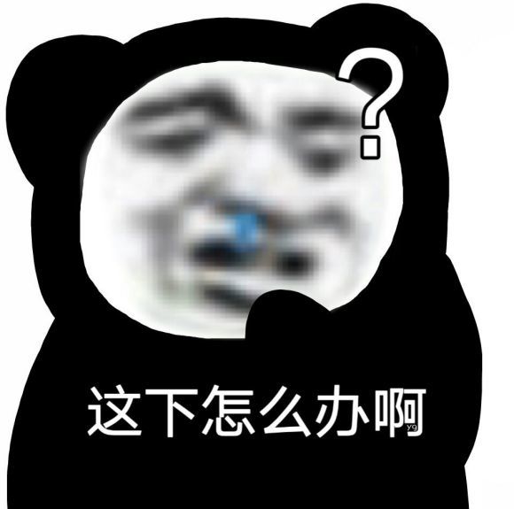 熊猫表情包:我错了下次还敢