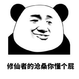 表情包:修仙者的沧桑你懂个屁