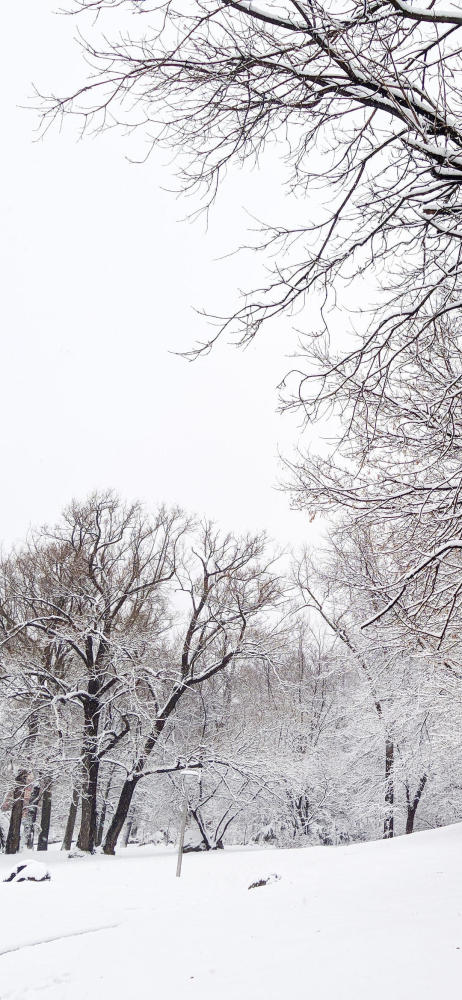 关于下雪的文案