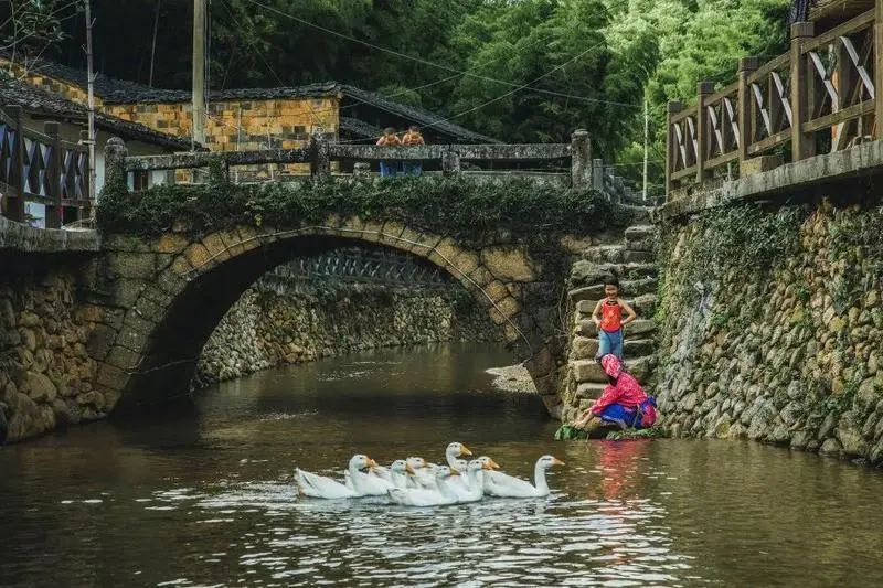 游在闽北|建阳:据说这条线路,让你一日看尽"花花世界"