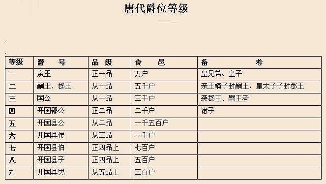 嗣王,是准备在日后承袭为亲王的亲王嫡子可得的爵位,类似于明朝的世子