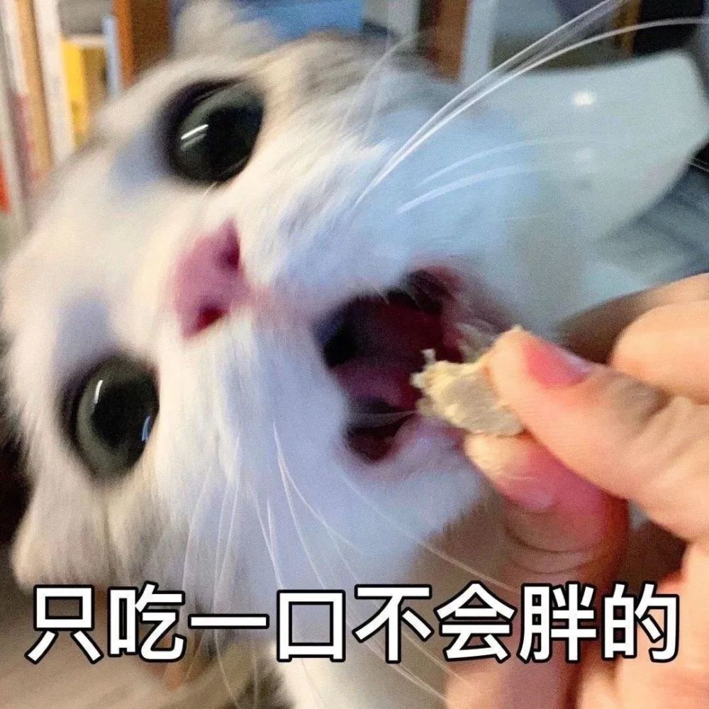 表情包丨抖音沙雕表情包动图大合集