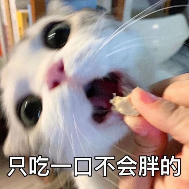 表情包丨抖音沙雕表情包动图大合集