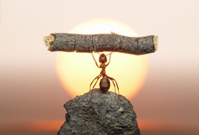 被人踩死的蚂蚁会如何理解?