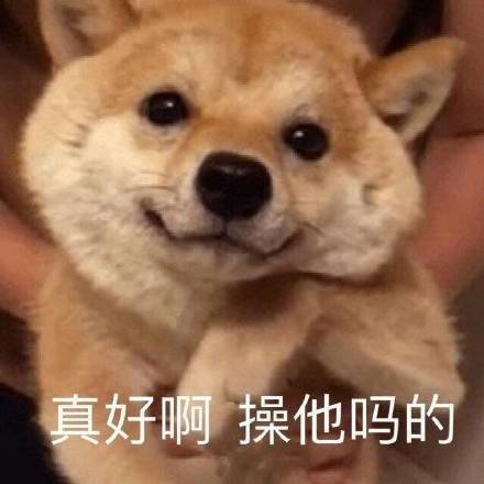 沙雕又可爱的朋友圈文案 表情