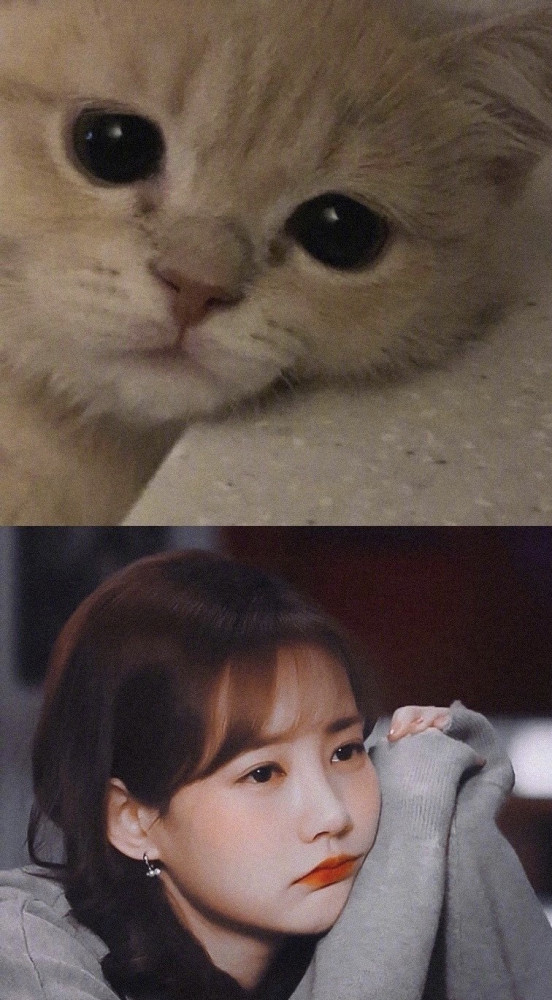 猫系长相的女明星:迪丽热巴高贵美艳,李一桐娇憨可爱