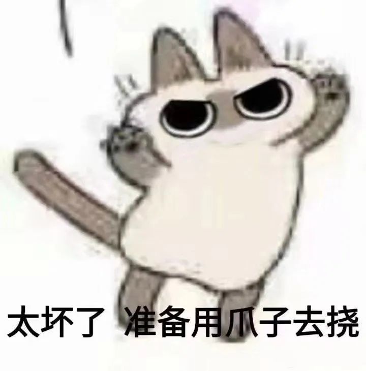 高萌可爱暹罗猫表情包大合集