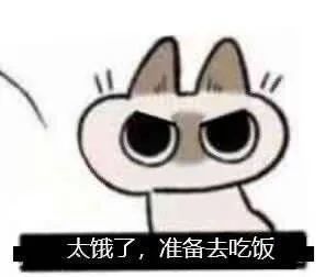 高萌可爱暹罗猫表情包大合集