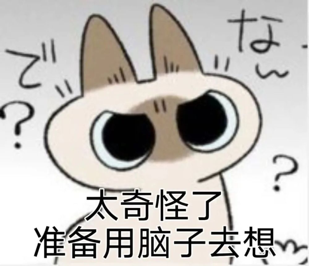 高萌可爱暹罗猫表情包大合集