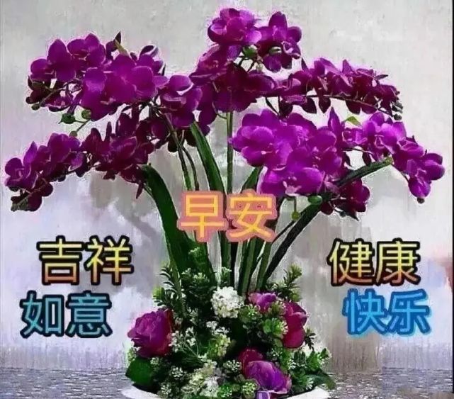 中老年表情包,聊天动态带字图片早上好祝福,愿你幸福康健,笑容每天多