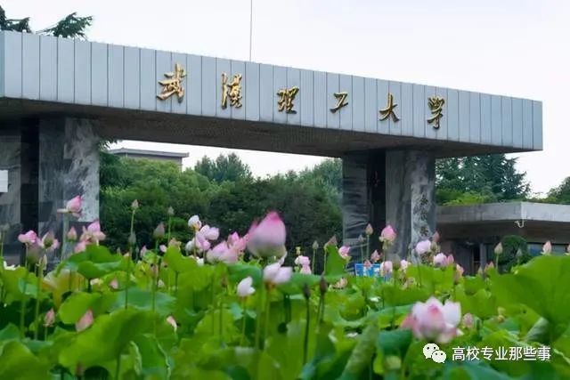 性大学,由原来的武汉工业大学,武汉水运学院,武汉建材学院组建而成