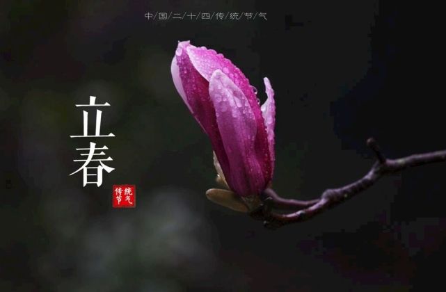 明日立春,这6种"芽菜"别错过,鲜美营养强体质,轻松过