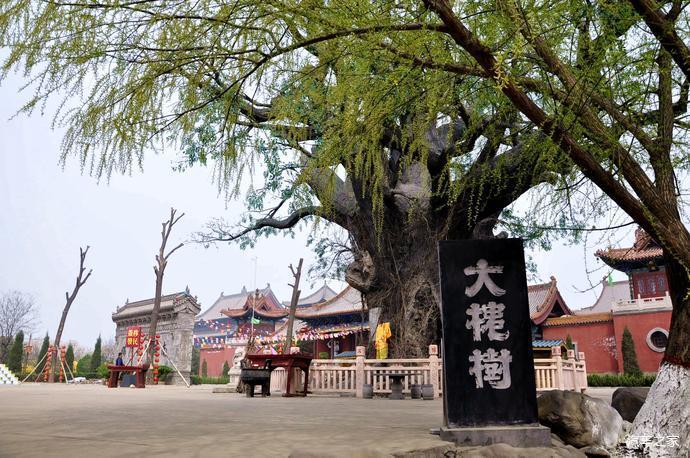 秦晋峡谷看壶口瀑布洪洞大槐树寻根祭祖