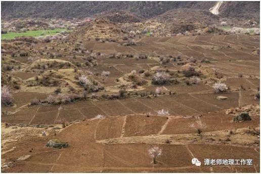 波密冰碛丘陵及丘陵中的村庄 (古冰川遗迹,当地人称之为蚂蚁堆.)3.