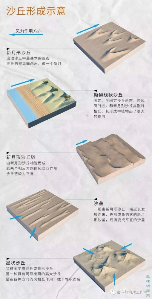 草灌丛沙堆根据其上主要植物种类命名.