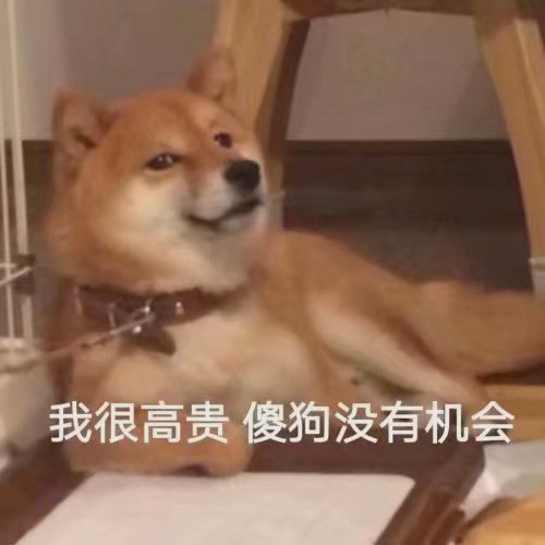 萌宠表情包:委屈的像只两百斤的狗子!