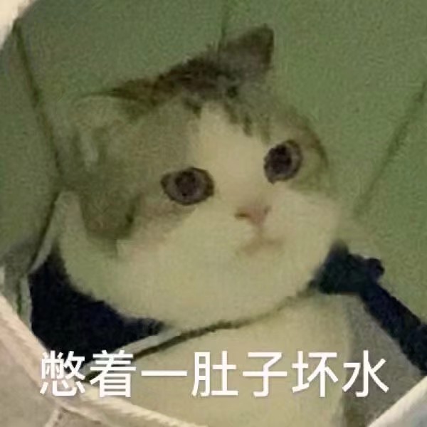 萌宠表情包:准备好接收我的啵啵了吗?