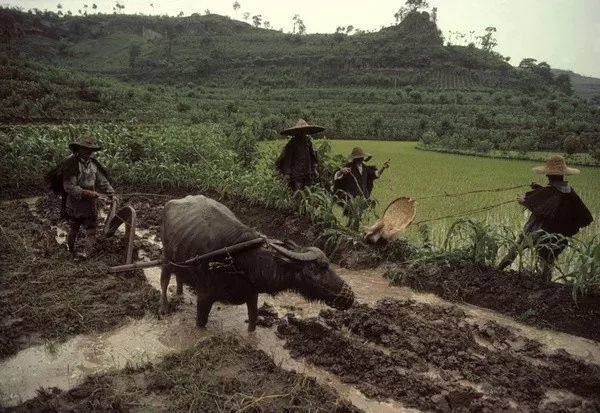 日本人拍摄的1980年中国农村生活:朴实无华,第九张很难看到