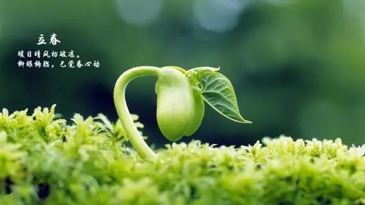 立春,又是一年春来到,春暖花开风景好