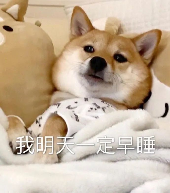 表情包:吓得小狗狗吃惊惊,不能回神神