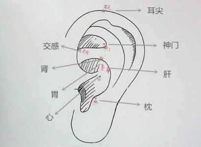 肾不好,每天多按按这几个"开关,壮腰助眠防脱发