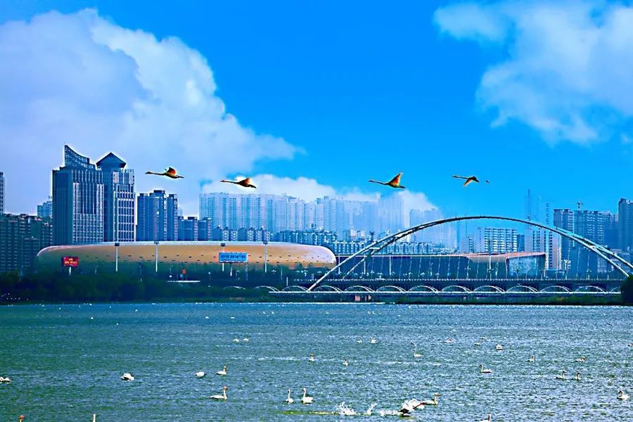 2020济源gdp_2016 2020年济源市地区生产总值 产业结构及人均GDP统计(3)