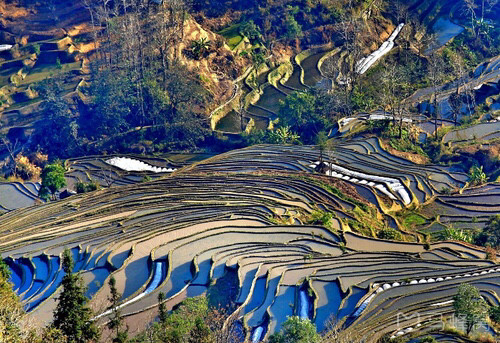 红河元阳县哈尼梯田旅游景点