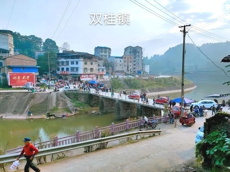 乡镇人口多_会昌县乡镇人口分布图(2)