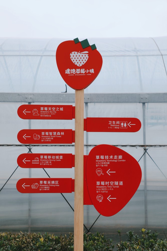 建德草莓小镇位于杭州建德市杨村桥镇,紧临杭黄高铁站和杭新景高速