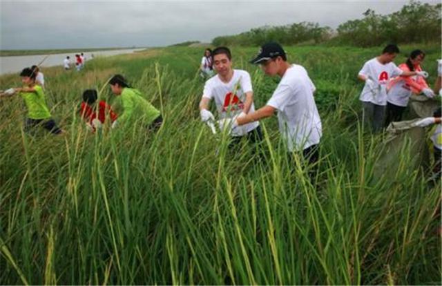 最难搞入侵物种49年前引进如今在南方泛滥在中国没天敌