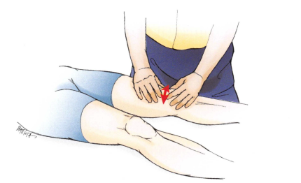 膝关节检查