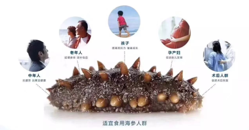 海参的适用人群