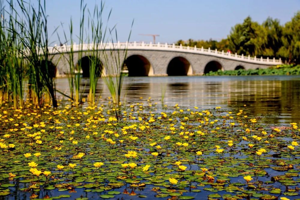 公园三种,包括奥林匹克森林公园湿地,南海子湿地公园,杨各庄湿地公园