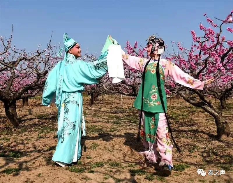 快讯|秦腔名家李小锋《人面桃花》中英文字幕版全球同步上线
