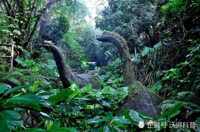 世界上最大的蛇,为何都空降热带雨林,这难道是巧合?