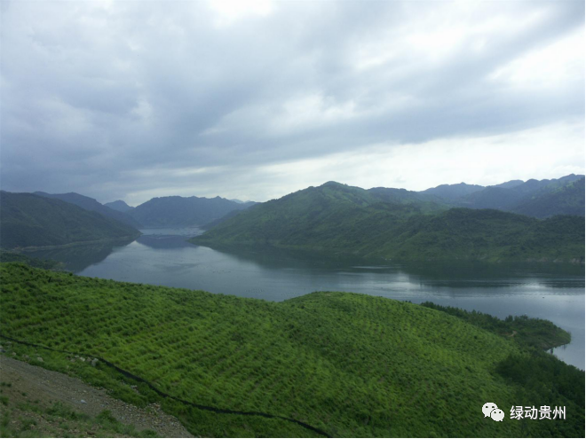 晴隆光照湖国家级湿地公园
