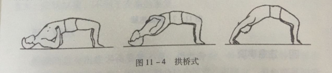 取仰卧位 先以双足跟,双肘,后头部为支点(五点法,用力将腰,臀,胸挺