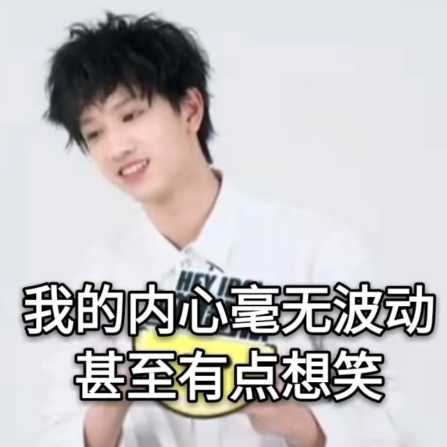 敖子逸表情包/敖子逸就是一个表情包,简称敖包