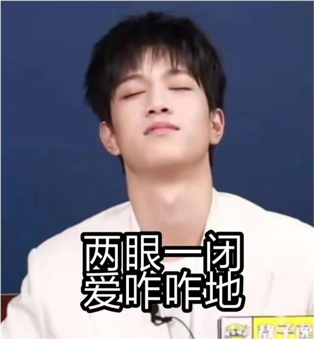 敖子逸表情包/敖子逸就是一个表情包,简称敖包
