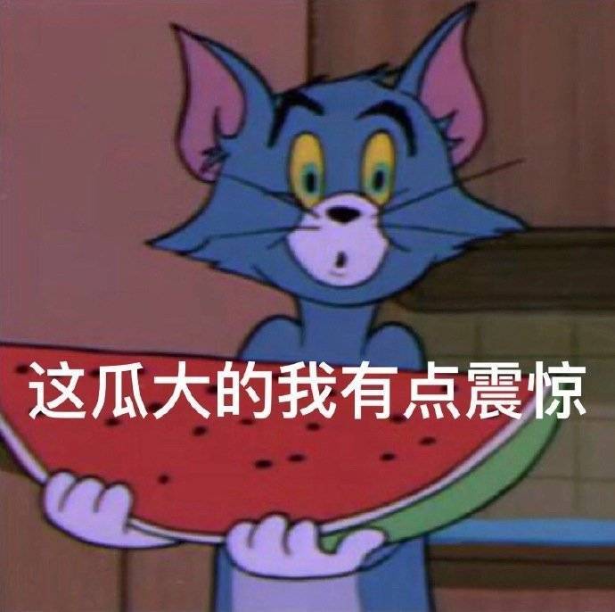 猫和老鼠表情包:啊啊啊他好可爱,我扛不住了
