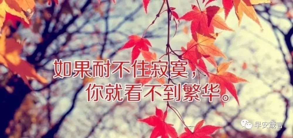 高冷又随性的简短句子,适合任何情绪发的说说