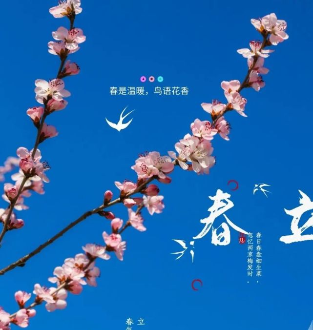 2021年2月3日立春早安问候祝福图片唯美,立春暖心问候