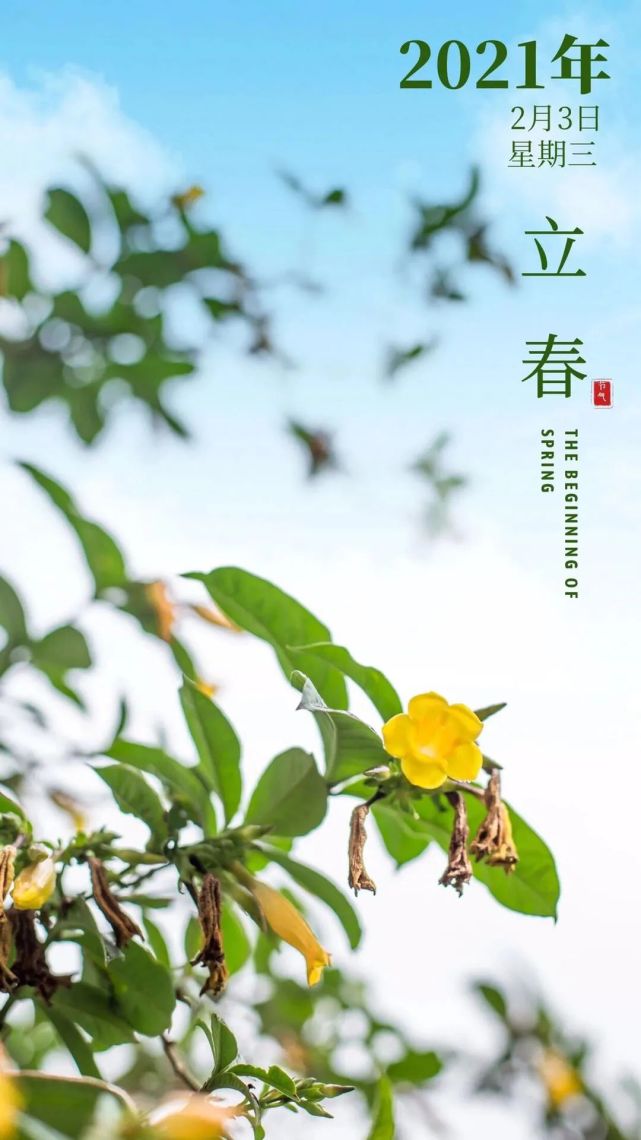 2021立春早安图片,2020最新唯美图片早安 今日立春!冬去春来,万物复苏,早安!