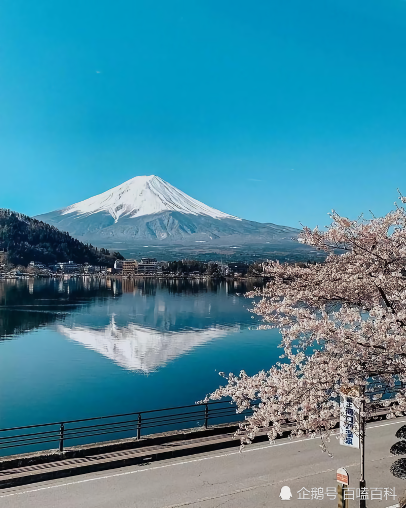 原来《富士山下》的歌词写错了,现实中富士山居然真的