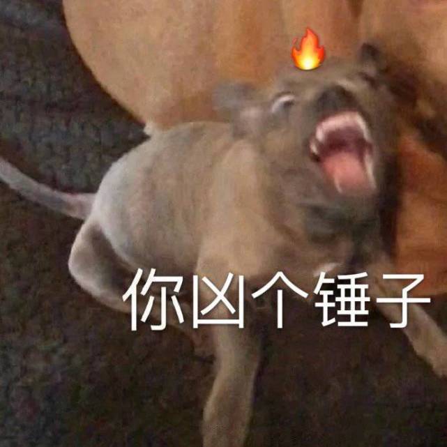 沙雕表情包|:你凶个锤子