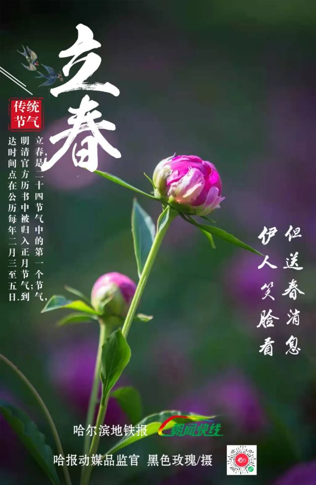 立春时节,如何养生?