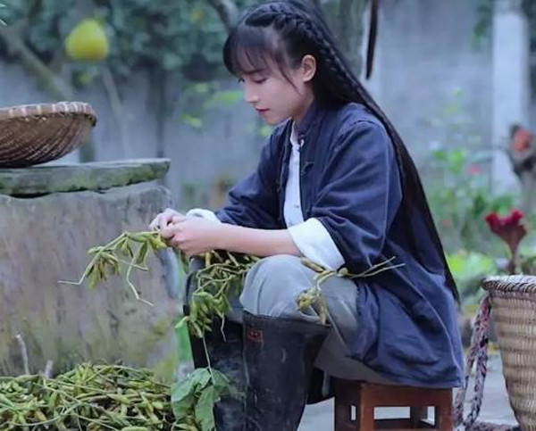 美食网红第一人:李子柒个人简介资料背景