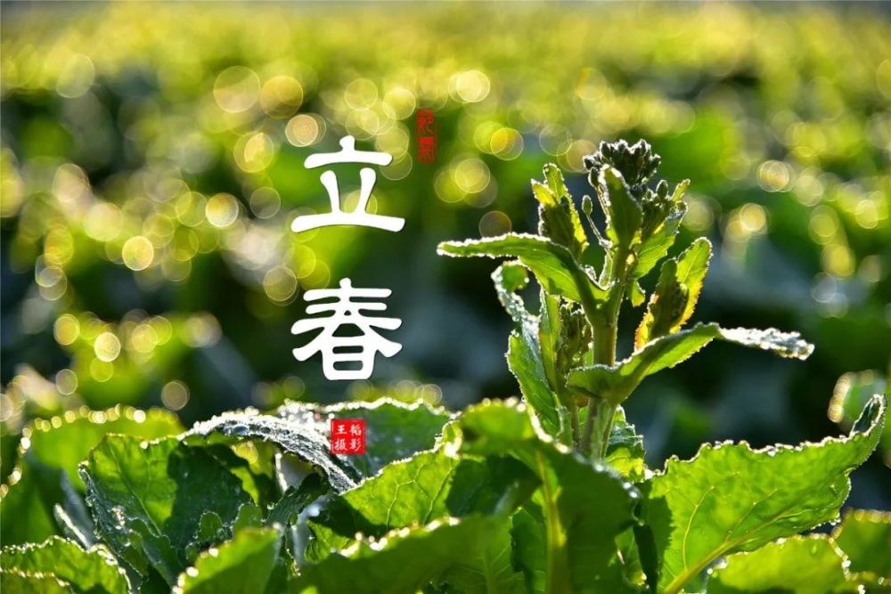 立春是"四立"之一,反映着冬春季节的更替,春生夏长秋收冬藏,立春标示