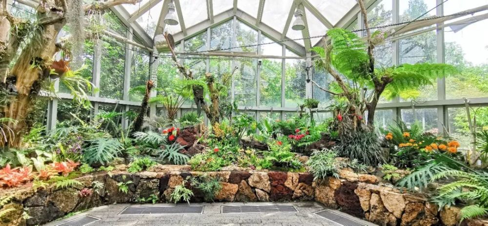 上海植物园展览温室室内布置设计热带雨林和室内花园两大主题,展示