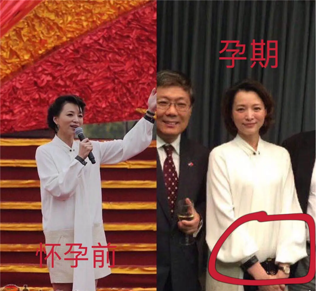 2014年,腾讯娱乐采访了当时董卿的同事,也证实董卿当年是怀孕赴美国